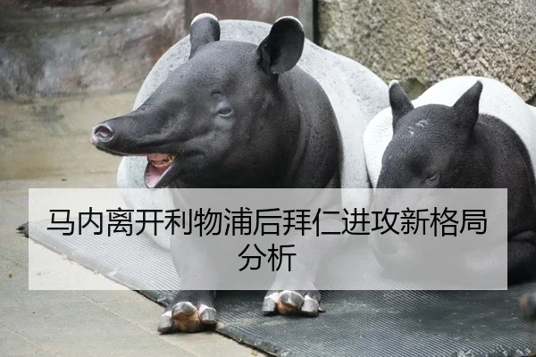 马内离开利物浦后拜仁进攻新格局分析