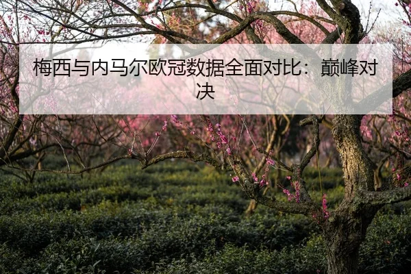 梅西与内马尔欧冠数据全面对比：巅峰对决